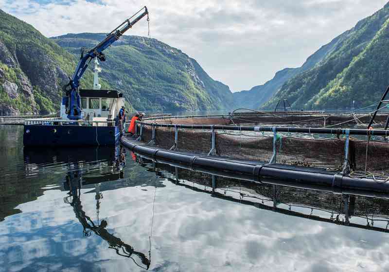 En rekke ulike fartøy kan være innom en lokalitet. Illustrasjonsfoto: Benchmark.